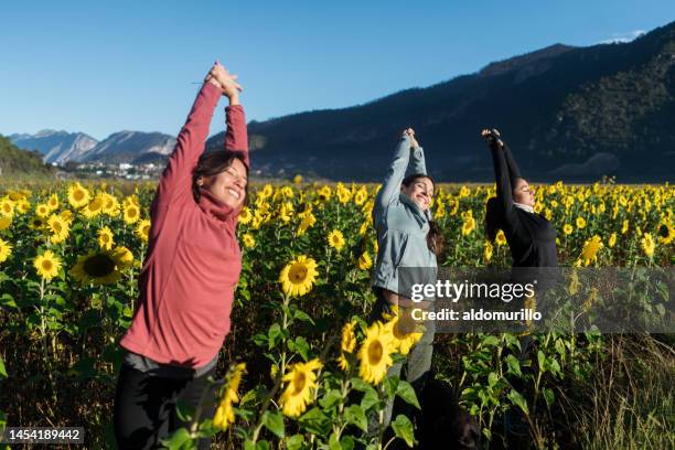 three young women stretching in sunflower field and smiling - happy sunflower stock pictures, royalty-free photos & images