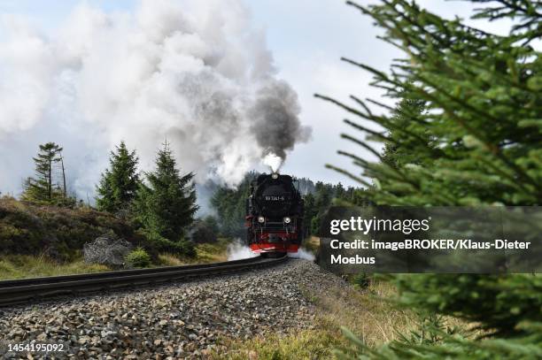 harz narrow-gauge railway on the way to the brocken, saxony-anhalt, germany - brockenbahn stock-fotos und bilder