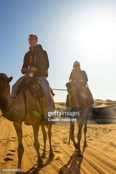 touristen reiten kamele in der wüste, merzouga, erg chebbi, sahara, marokko - dromedar stock-fotos und bilder