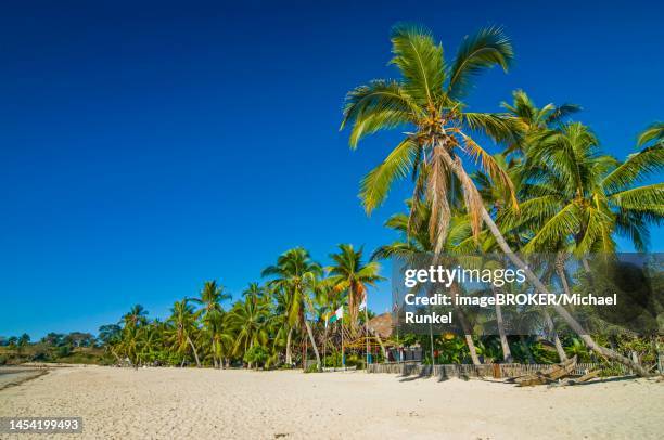 Nosy Ratsy 29 Andilana Stock Photos, High-Res Pictures, and Images - Getty Images