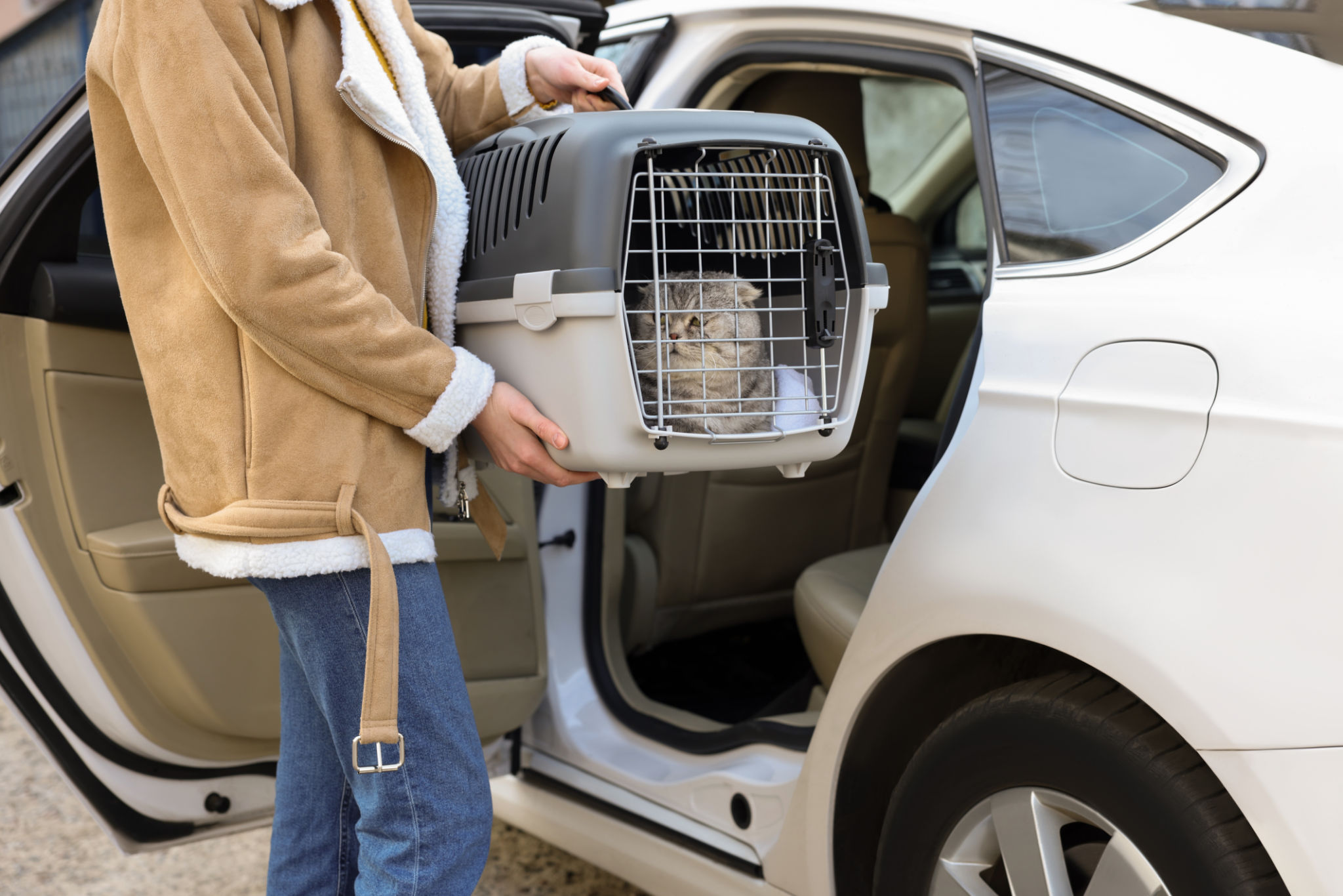 portable pet crate
