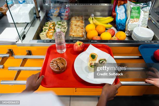 balanced snack choices - tray stock pictures, royalty-free photos & images