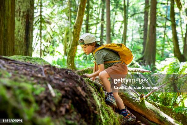 a young boy with a yellow backpacking climbing on a fallen tree in the forest. - senderismo fotografías e imágenes de stock