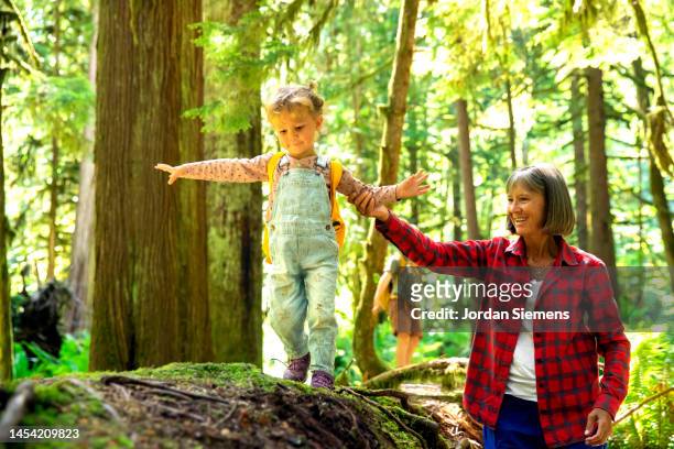 a young girl  walking across a down log in the forest with the help of her grandmother. - white button down shirt stock pictures, royalty-free photos & images