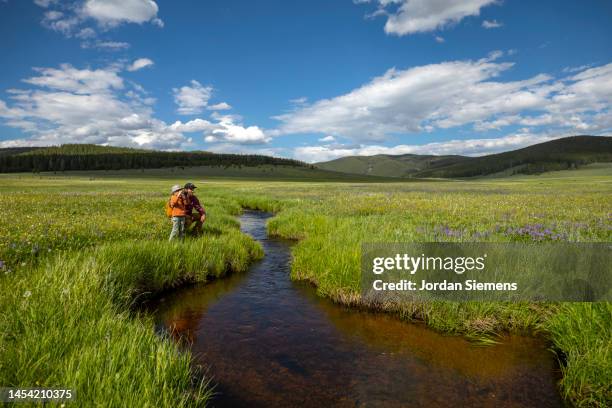 a father and son looking through binoculars across a lush green field filled with flowers. - dillon montana stock pictures, royalty-free photos & images