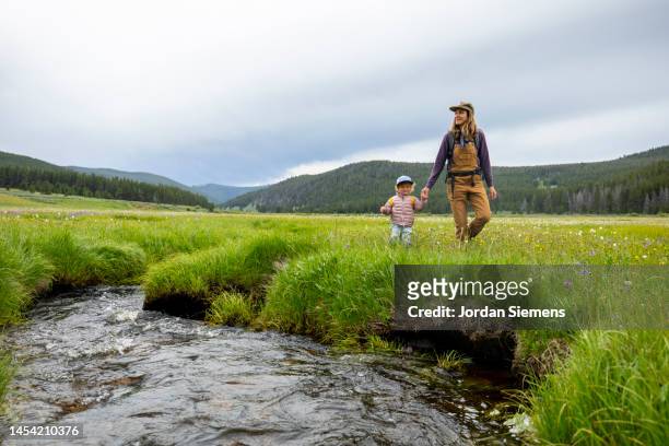 a mother and daughter standing next to a small stream while hiking in a meadow filled with flowers. - dillon montana stock pictures, royalty-free photos & images