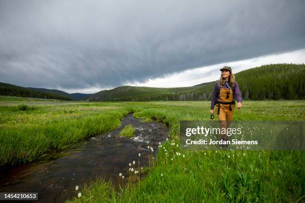 a woman with a fly fishing rod walking next to a small stream running through a lush green field filled with flowers. - meadow brook imagens e fotografias de stock