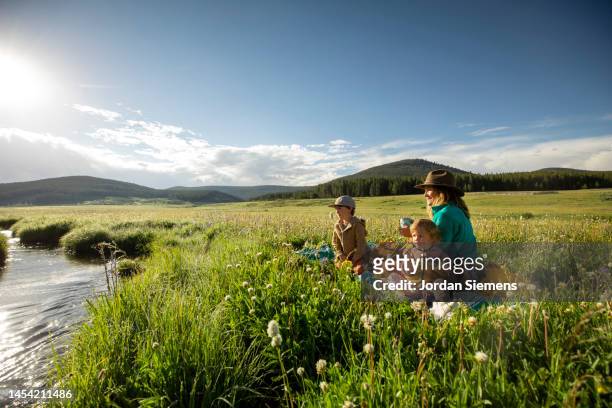 a family having a picnic along the banks of a small stream. - montana landscape stock-fotos und bilder