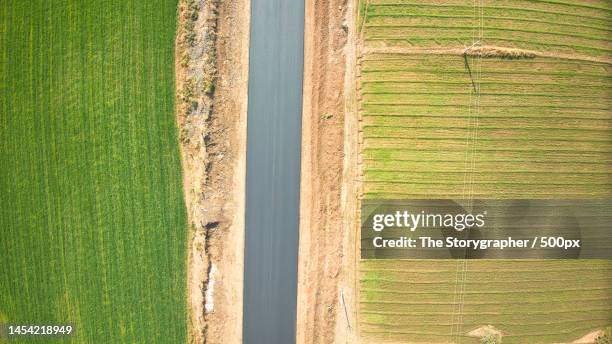 high angle view of agricultural field,ujjain,madhya pradesh,india - the storygrapher - fotografias e filmes do acervo