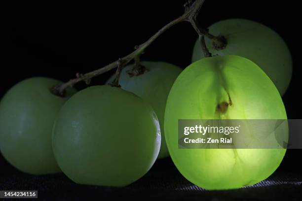 green grapes - one fruit halved and backlighted on black background - grape seed stock pictures, royalty-free photos & images