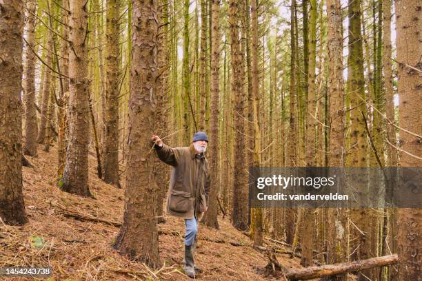 elderly man in coniferous woodland in winter - waxed jacket stock pictures, royalty-free photos & images
