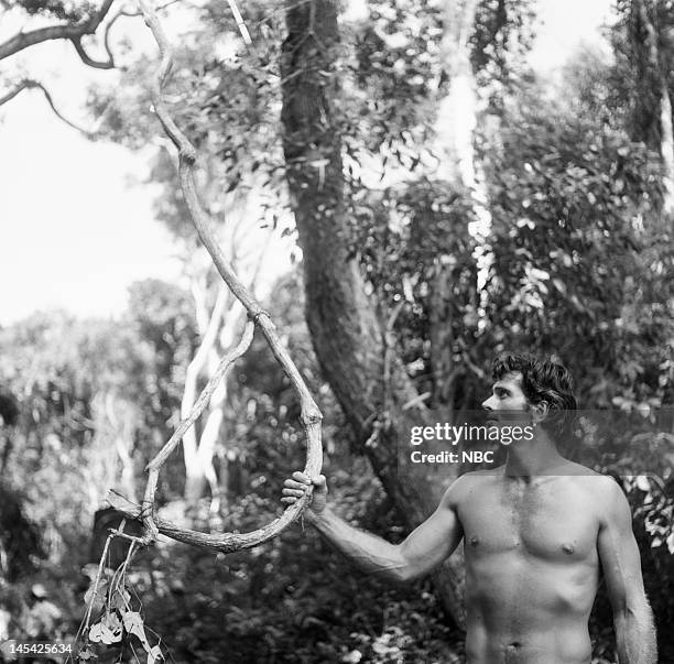Tarzan Rope 50 Tarzan Rope Stock Photos, High-Res Pictures, and Images - Getty Images