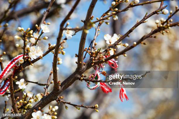 martenitsa and first day of spring - bulgarians stock pictures, royalty-free photos & images