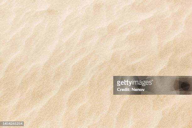 image of sand background texture - sand background imagens e fotografias de stock