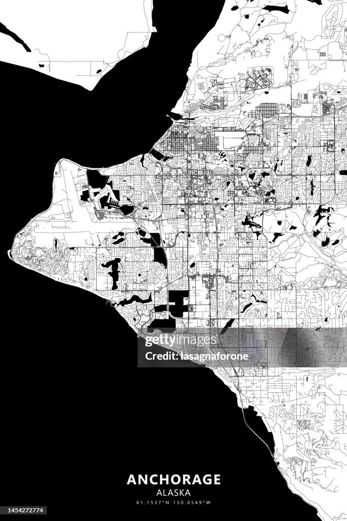 Anchorage, Alaska Vector Map