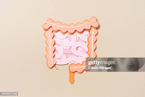 human intestine anatomy paper cut craft - darm stockfoto's en -beelden