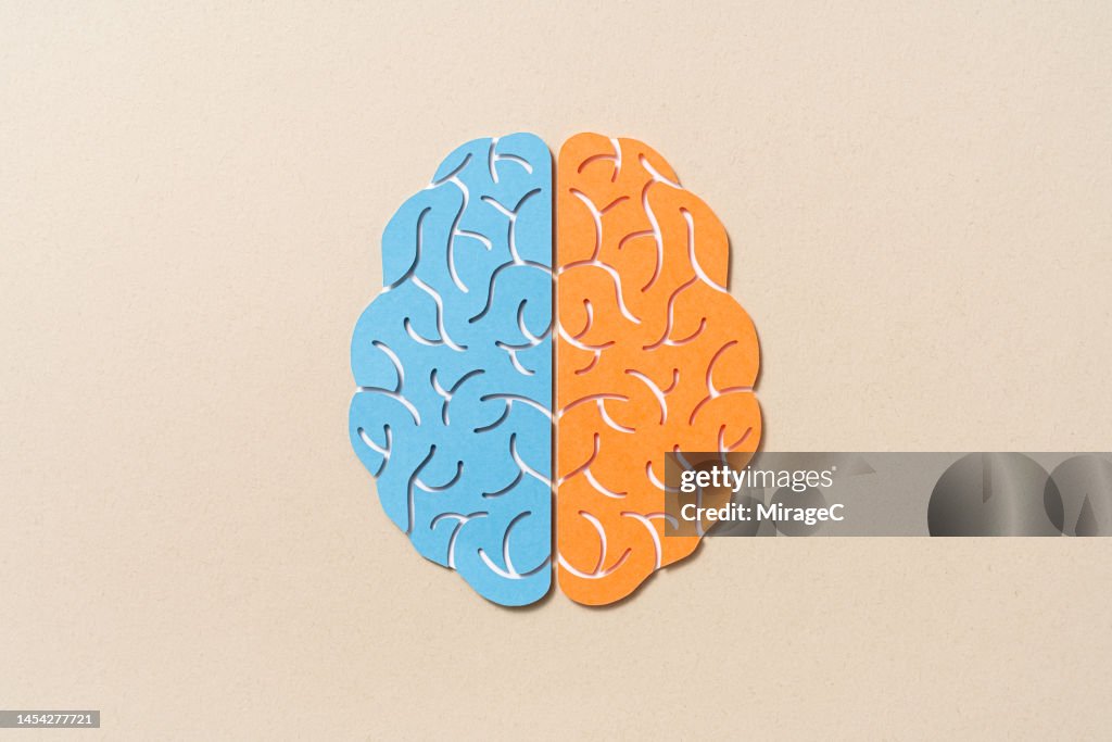Left Brain Craft Left Brain Vs Right Brain Paper Cut Craft High-Res Stock Photo - Getty ...