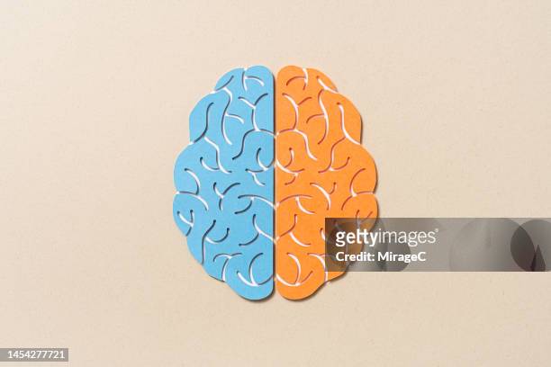 left brain vs. right brain paper cut craft - människohjärna bildbanksfoton och bilder