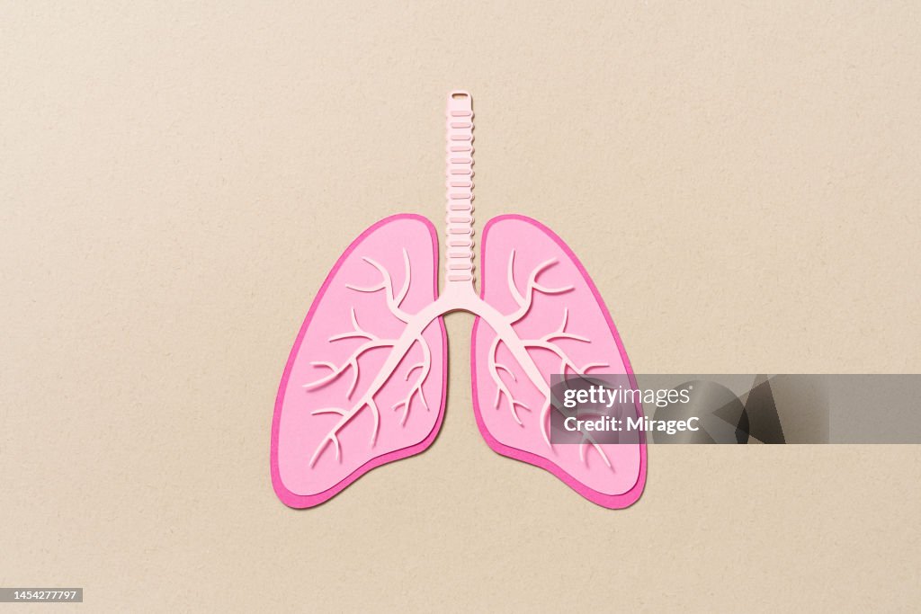 Human Lung Internal Anatomy Paper Cut Craft