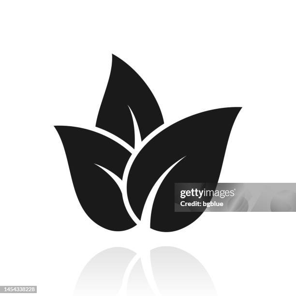 tea leaves. icon with reflection on white background - tea leaf white background stock illustrations