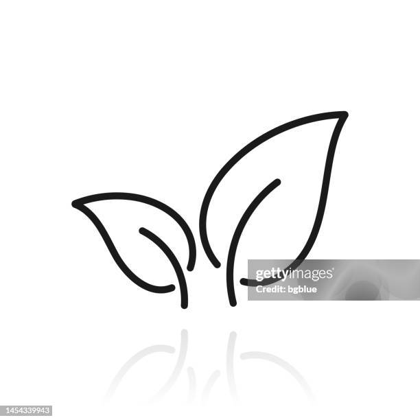 tea leaf. icon with reflection on white background - tea leaf white background stock illustrations