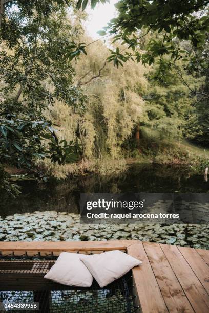 views of the lake from a wooden base - idyllic cottage stock pictures, royalty-free photos & images