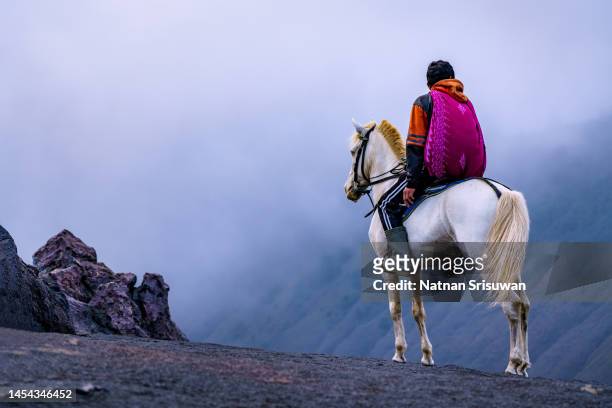 the horse for tourism into the crater of indonesia's mount bromo with desert view very nature.bromo, east java, indonesia - bromo horse stock pictures, royalty-free photos & images