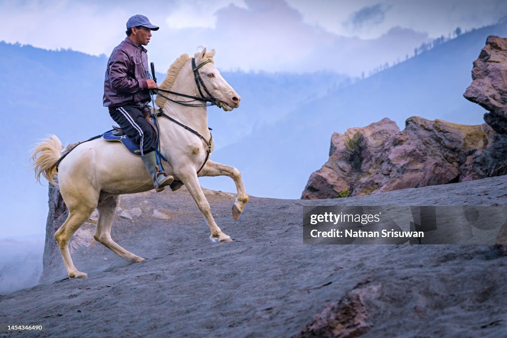 The horse for tourism into the crater of Indonesia's Mount Bromo with desert view very nature.Bromo, East Java, Indonesia