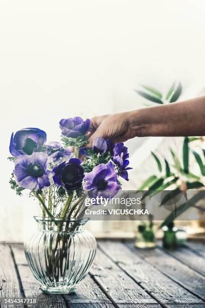 women hand making puple anemone flowers arrangement in glass vase - anemone flower arrangements stock pictures, royalty-free photos & images