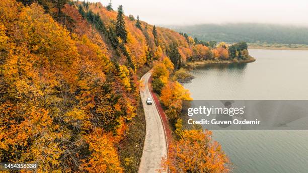 aerial view of white car on road through colorful autumn forest, aerial view of country road in autumn forest, forested road passing by a mountain lake, forest road and lakeside in autumn colors, autumn background road and lake, lake abant nature park - abant turkey stockfoto's en -beelden