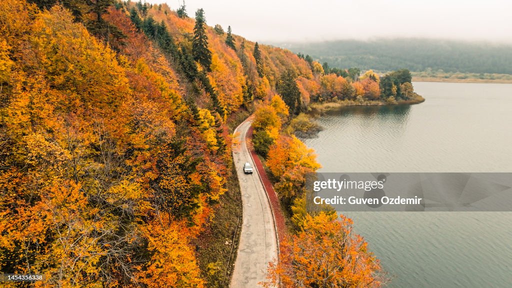 Aerial view of white car on road through colorful autumn forest, aerial view of country road in autumn forest, forested road passing by a mountain lake, forest road and lakeside in autumn colors, autumn background road and lake, Lake Abant Nature Park