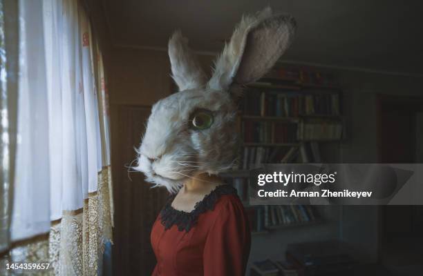 woman wearing bunny head mask and vintage victorian styled dress and looking at the window. 2023 is a rabbit zodiac sign. nicely fits for book cover - rabbit mask stockfoto's en -beelden