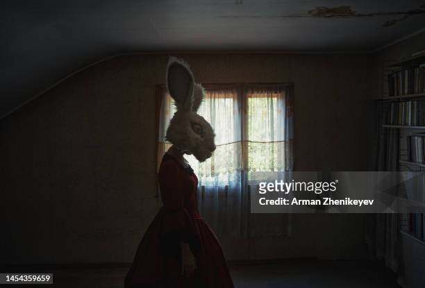 woman wearing bunny head mask and vintage victorian styled dress in the dark room with book shelf. 2023 is a rabbit zodiac sign. nicely fits for book cover - cinematic stock pictures, royalty-free photos & images