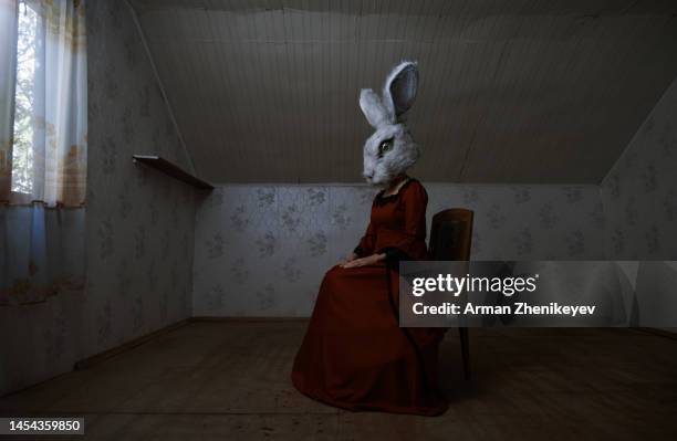 woman wearing bunny head mask and vintage victorian styled dress and sitting on a chair. 2023 is a rabbit zodiac sign. nicely fits for book cover - cinematic stock pictures, royalty-free photos & images