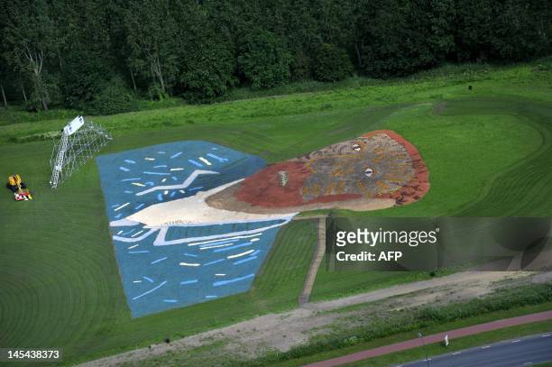 An aerial view taken on May 30, 2012 show a reproduction of the self-portrait of Duch painter Vincent van Gogh, made with wood chips and plants, in a...