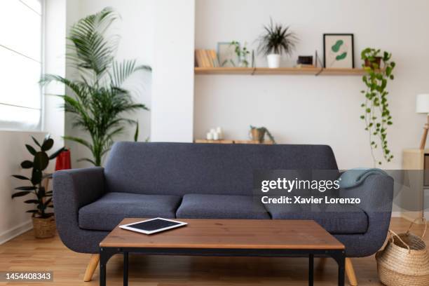 interior of modern living room with sofa and plants in bright apartment - table basse photos et images de collection