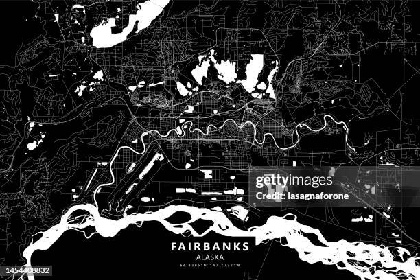 fairbanks, alaska vector map - fairbanks alaska stock illustrations