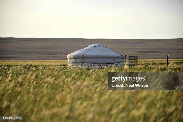 mongolia - yurt stock pictures, royalty-free photos & images