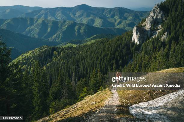 backpacker hikes through meadow in mountains - escape rom stock pictures, royalty-free photos & images