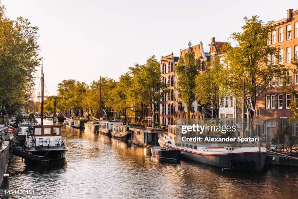 amsterdam canal with boathouses on a sunny day, holland, netherlands - amsterdam fotografías e imágenes de stock