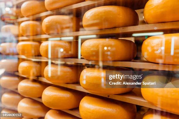 dutch gouda cheese for sale as cheese wheels at the store, close-up - cheese production in netherlands bildbanksfoton och bilder