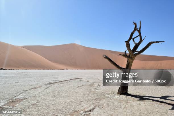 scenic view of desert against clear blue sky,namibia - 乾燥気候 ストックフォトと画像