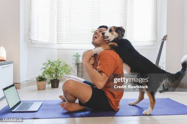 man laughing with his dog at home - cocoon animal stage stock pictures, royalty-free photos & images