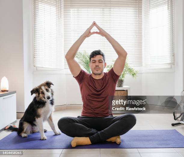 man doing yoga at home with his attentive dog. - animal sport stock-fotos und bilder