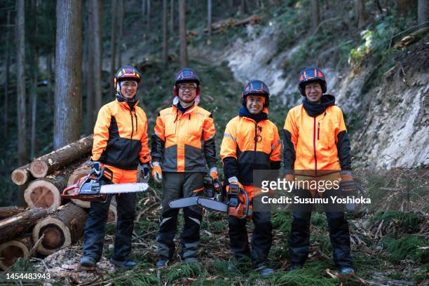 forestry people thin the cedars to maintain the forest. - forestry worker stock-fotos und bilder