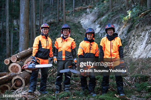 Forestry people thin the cedars to maintain the forest.