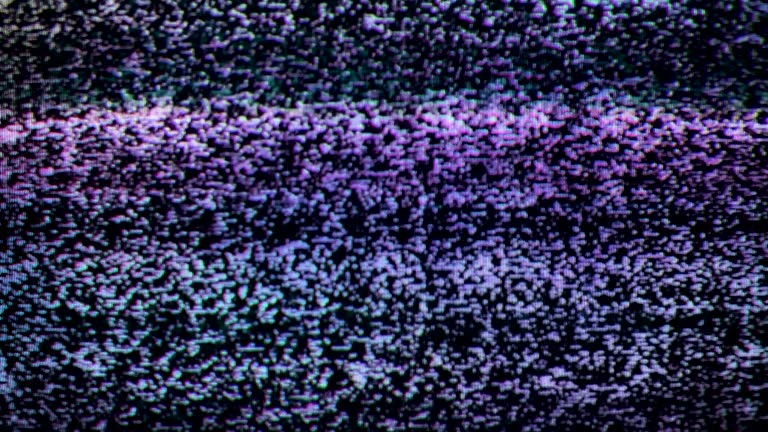 Video Static Filter 226 Grain Texture Overlay Stock Videos, Footage, & 4K Video Clips ...