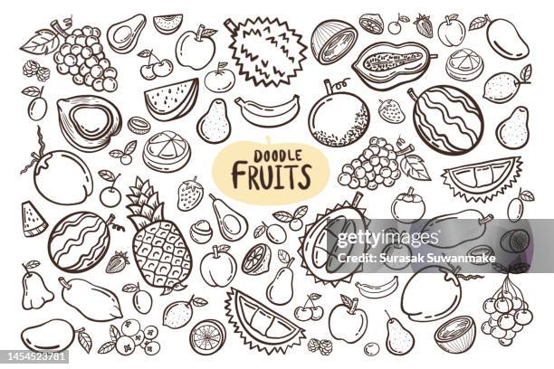 collection of various mixed fruits. hand drawn. - vegetable icon stock pictures, royalty-free photos & images