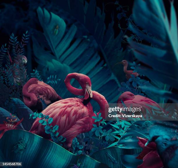 自然の中の鳥 - ピンク　動物 ストックフォトと画像