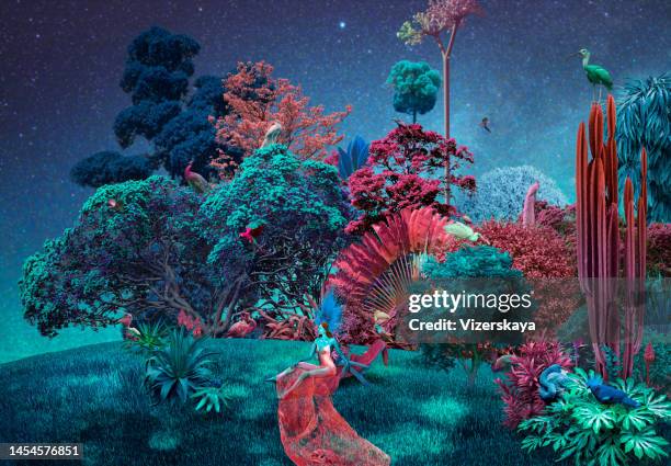surreal nature background with beautiful woman and many birds - flower meadow stars stock pictures, royalty-free photos & images